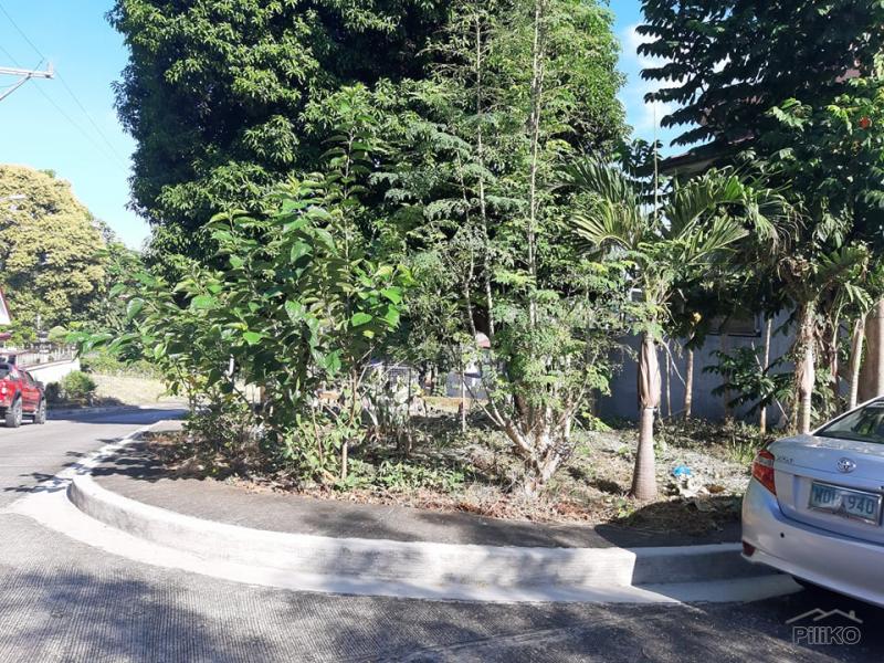 Residential Lot for sale in Antipolo in Rizal