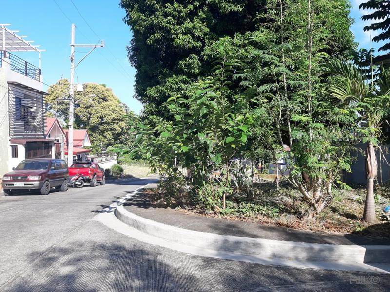 Picture of Residential Lot for sale in Antipolo in Rizal
