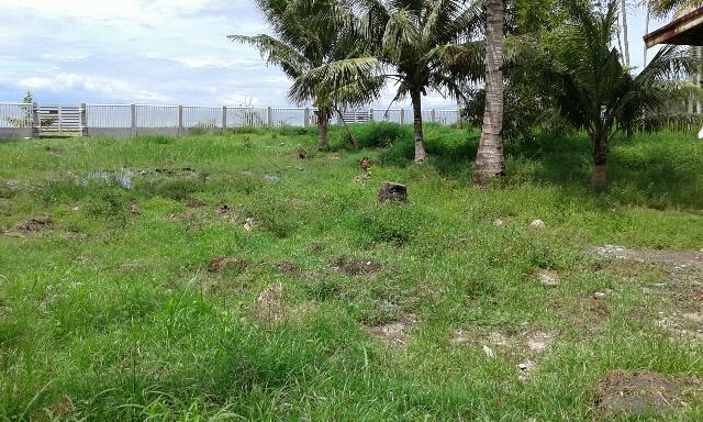 Residential Lot for sale in Zamboanguita - image 11