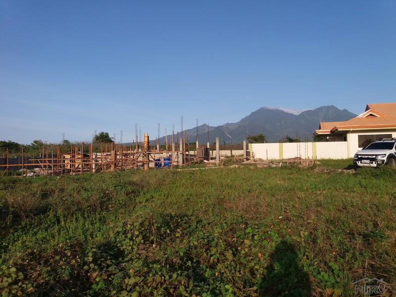 Pictures of Residential Lot for sale in Dauin