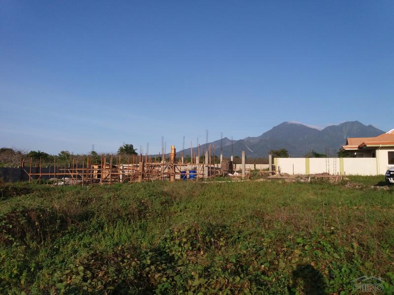 Residential Lot for sale in Dauin - image 2