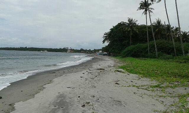 Residential Lot for sale in Zamboanguita - image 2