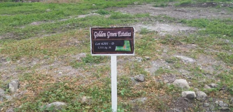 Residential Lot for sale in Dauin - image 10