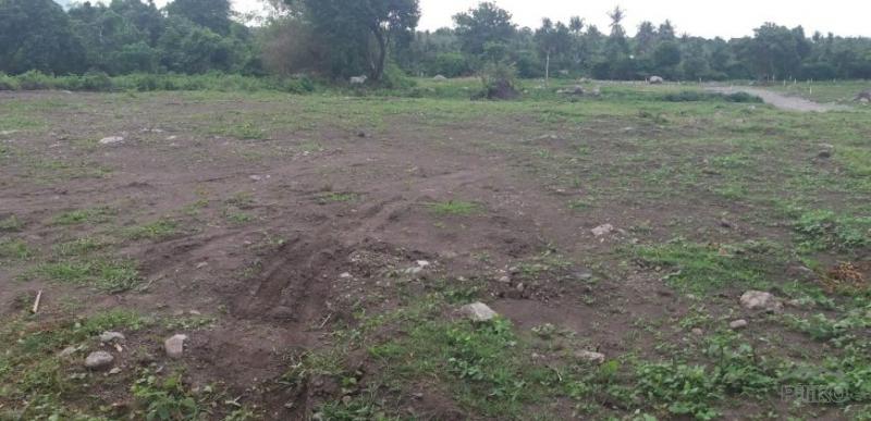 Residential Lot for sale in Dauin - image 13