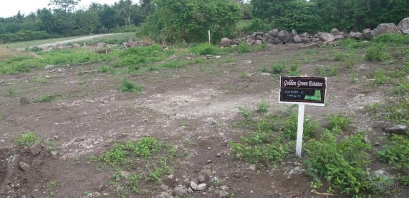 Residential Lot for sale in Dauin - image 14
