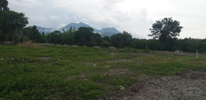 Residential Lot for sale in Dauin - image 15