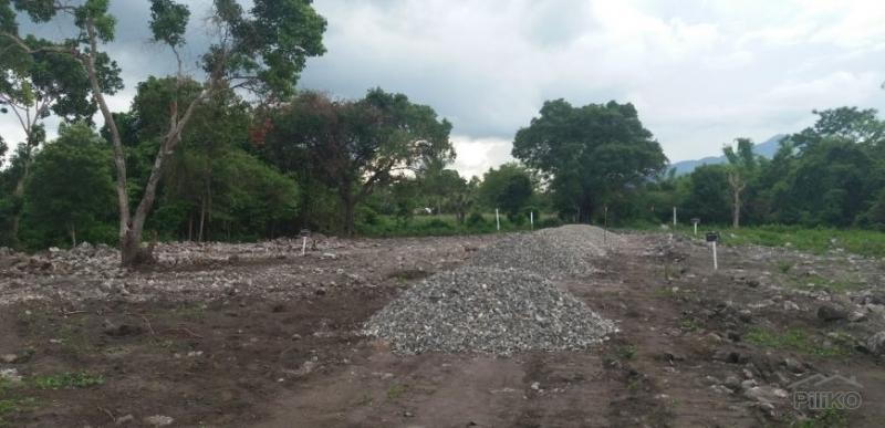 Residential Lot for sale in Dauin - image 17