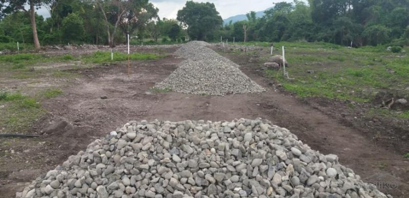 Residential Lot for sale in Dauin - image 18