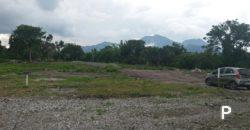 Pictures of Residential Lot for sale in Dauin