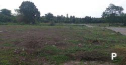 Residential Lot for sale in Dauin - image 2
