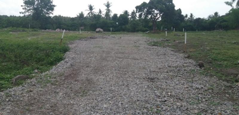 Residential Lot for sale in Dauin in Negros Oriental