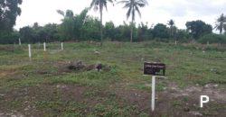 Residential Lot for sale in Dauin in Philippines