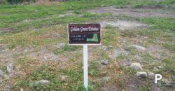 Residential Lot for sale in Dauin - image 5
