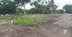 Residential Lot for sale in Dauin - image 6