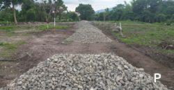 Residential Lot for sale in Dauin in Negros Oriental - image