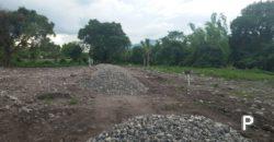 Residential Lot for sale in Dauin - image 8