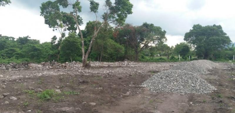 Residential Lot for sale in Dauin - image 9
