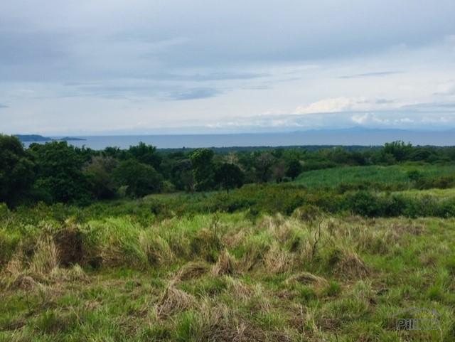 Land and Farm for sale in Zamboanguita