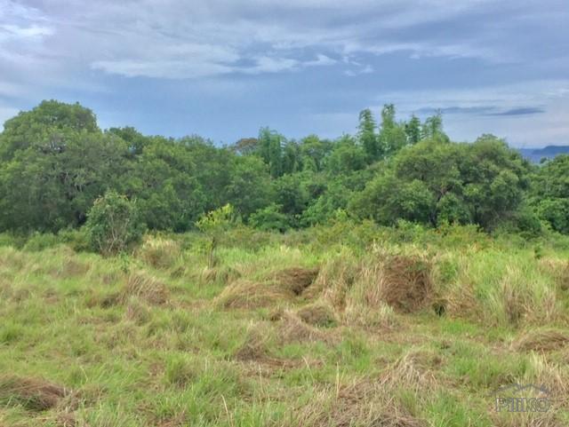 Land and Farm for sale in Zamboanguita in Negros Oriental
