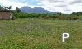 Residential Lot for sale in Dauin in Philippines