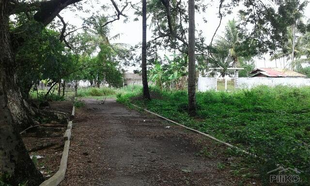Residential Lot for sale in Zamboanguita - image 4