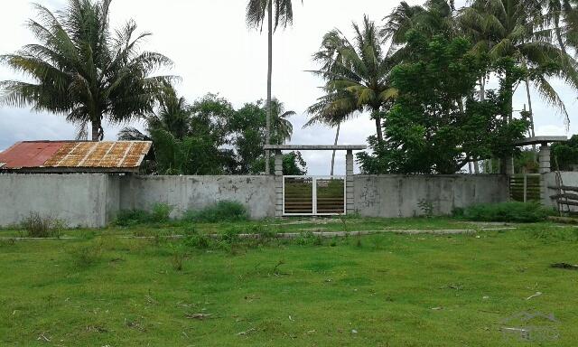 Picture of Residential Lot for sale in Zamboanguita in Negros Oriental