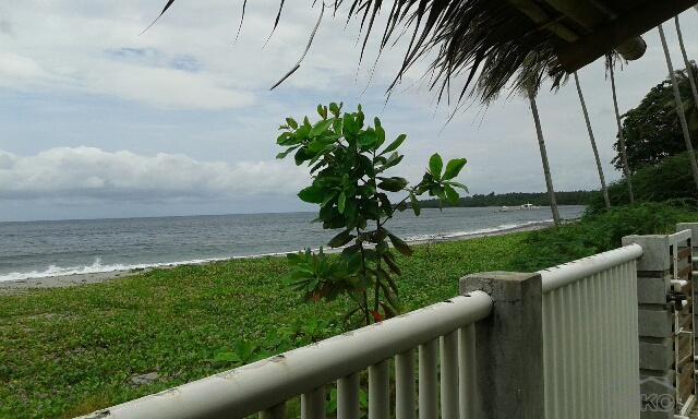 Residential Lot for sale in Zamboanguita - image 6