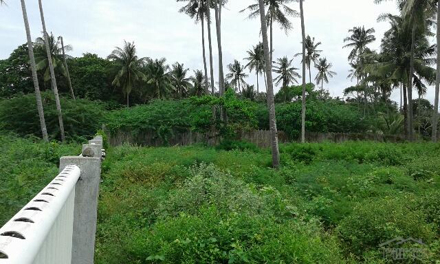 Residential Lot for sale in Zamboanguita in Negros Oriental - image