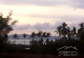 Residential Lot for sale in Dauin - image 8