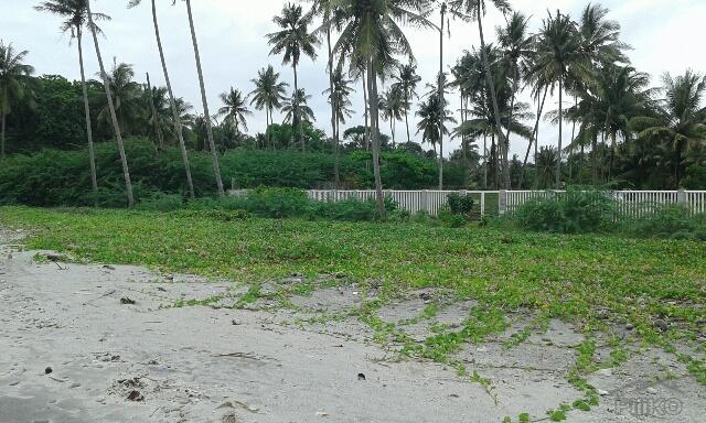 Residential Lot for sale in Zamboanguita in Philippines - image