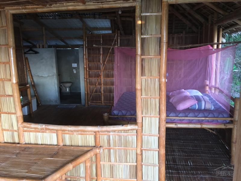 2 bedroom House and Lot for rent in Zamboanguita in Philippines
