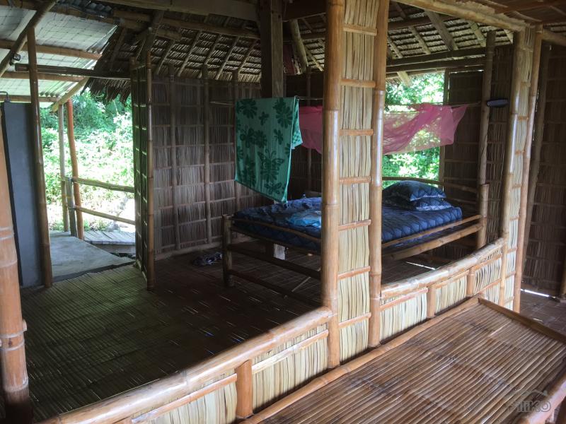 2 bedroom House and Lot for rent in Zamboanguita 482289 Photo 5