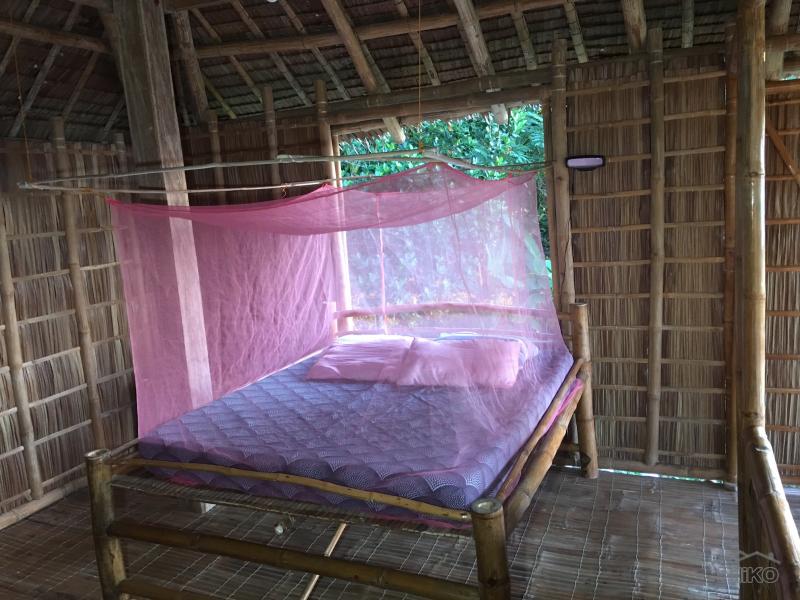 2 bedroom House and Lot for rent in Zamboanguita - image 6