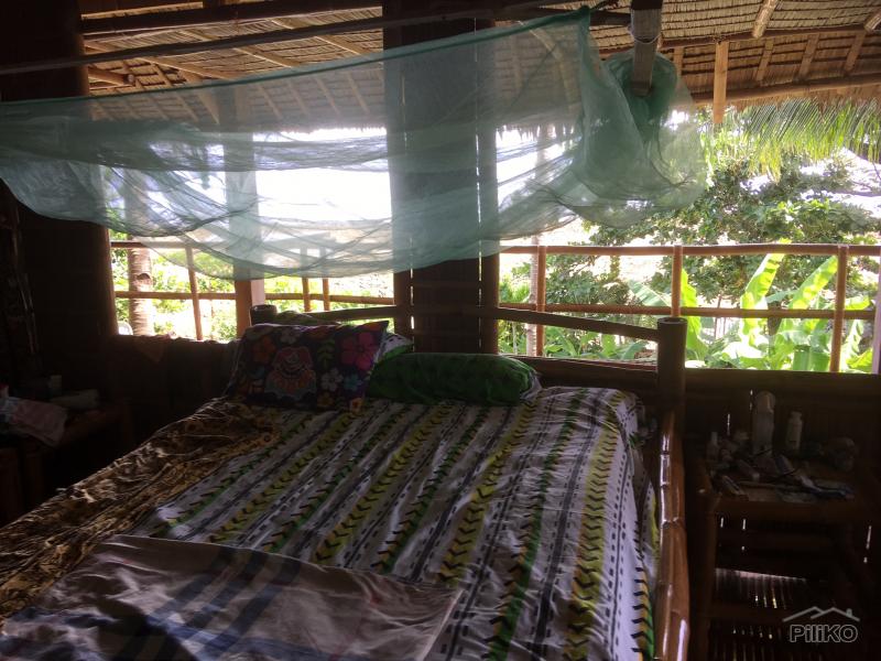 2 bedroom House and Lot for rent in Zamboanguita 482289 Photo 7