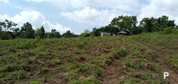Agricultural Lot for sale in Dauin in Negros Oriental