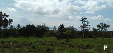Agricultural Lot for sale in Dauin - image 7