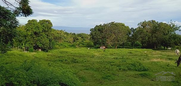 Picture of Land and Farm for sale in Dauin in Negros Oriental