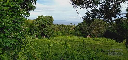 Land and Farm for sale in Dauin in Negros Oriental - image