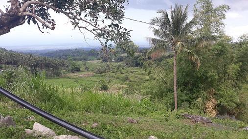 Lot for sale in Dauin - image 3
