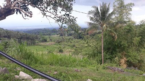 Lot for sale in Dauin in Negros Oriental