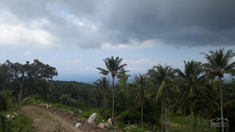 Picture of Lot for sale in Dauin in Negros Oriental