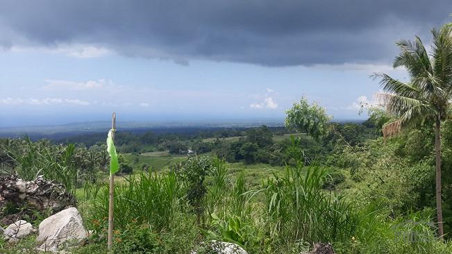 Lot for sale in Dauin in Negros Oriental - image