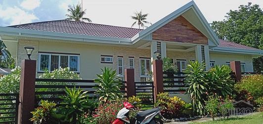 Pictures of 4 bedroom Houses for sale in Dauin