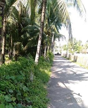 Other property for sale in Dumaguete