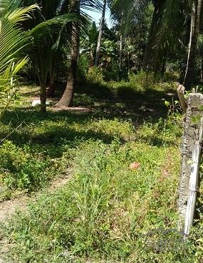 Other property for sale in Dumaguete in Philippines