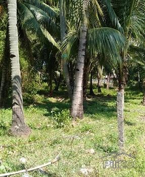 Other property for sale in Dumaguete - image 6