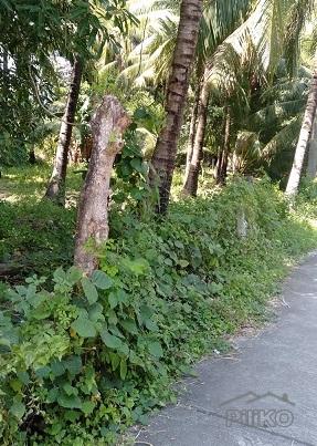 Other property for sale in Dumaguete in Negros Oriental - image