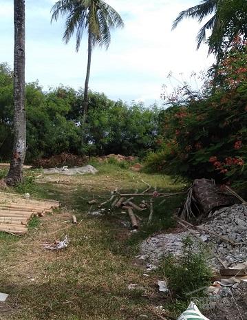Other lots for sale in Zamboanguita - image 3