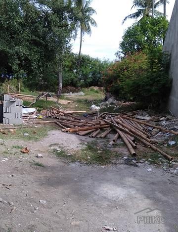 Other lots for sale in Zamboanguita - image 5