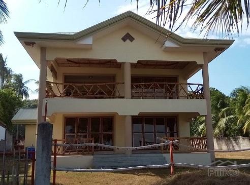 Picture of 2 bedroom House and Lot for sale in Dauin
